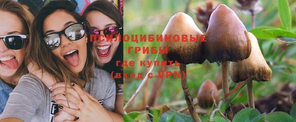 спиды Алексин