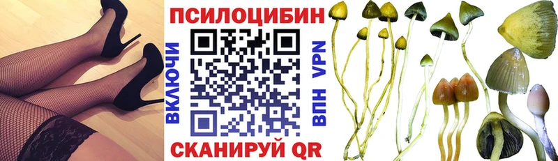 Псилоцибиновые грибы Magic Shrooms где продают наркотики Волхов