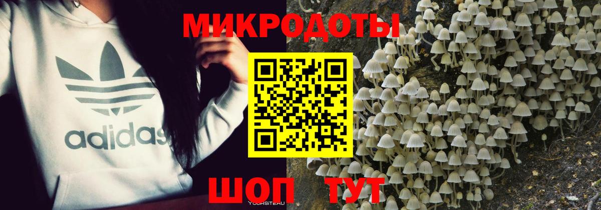 Псилоцибиновые грибы прущие грибы Волхов