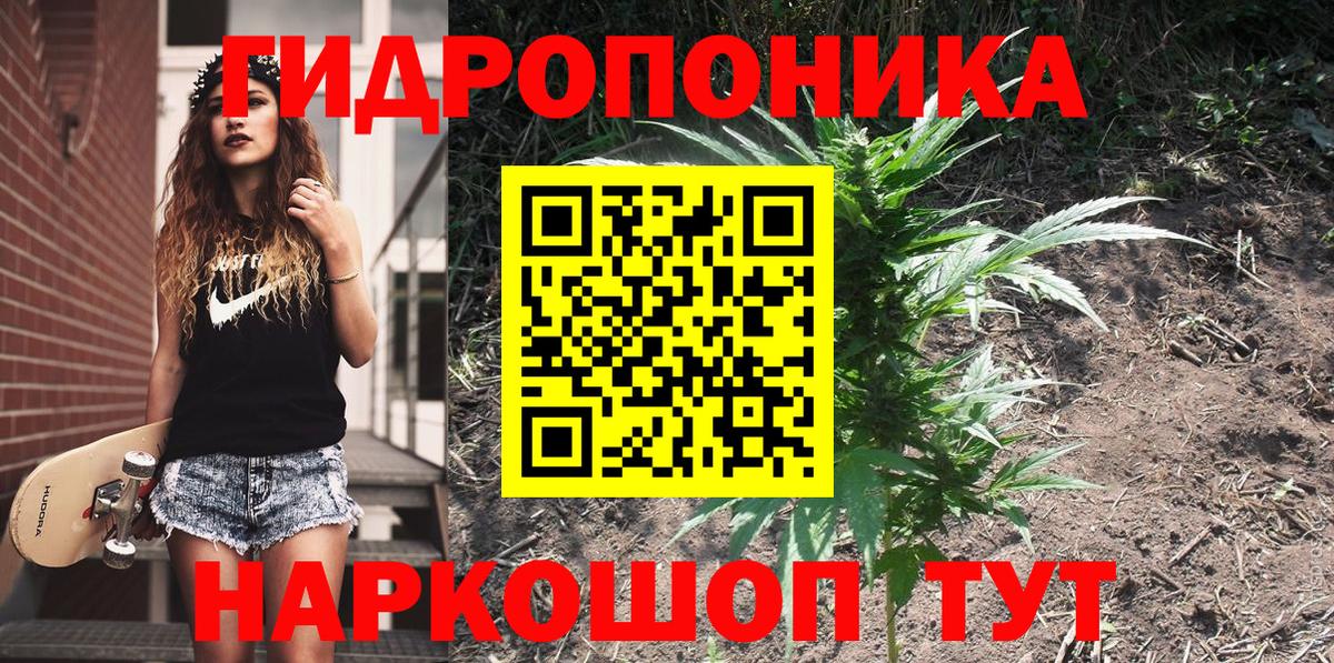 МАРИХУАНА марихуана  Вход с VPN  Волхов  Бошки марихуана SATIVA & INDICA  Бошки марихуана марихуана 